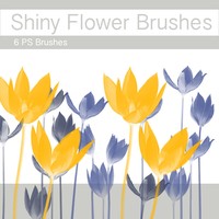 Shiny Flower Brushes