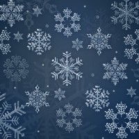 12 Snowflakes Brushes