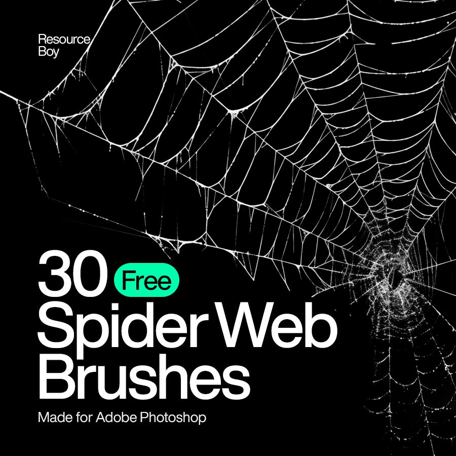 Photoshop brushes spider web