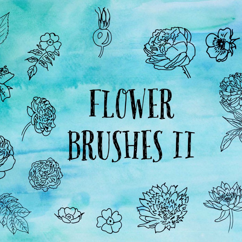 Photoshop brushes flower,floral,sketch