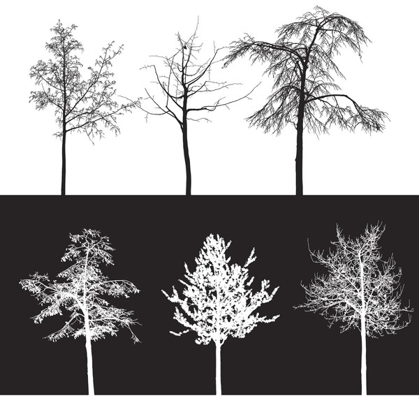 10 Trees Brushes - Photoshop Brushes