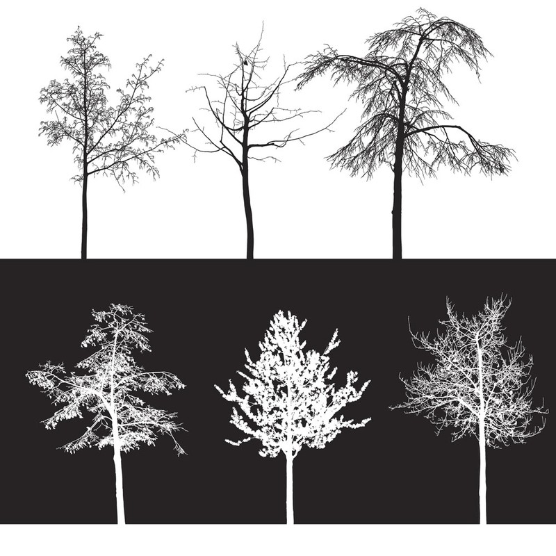 Photoshop brushes tree, nature,silhouettes