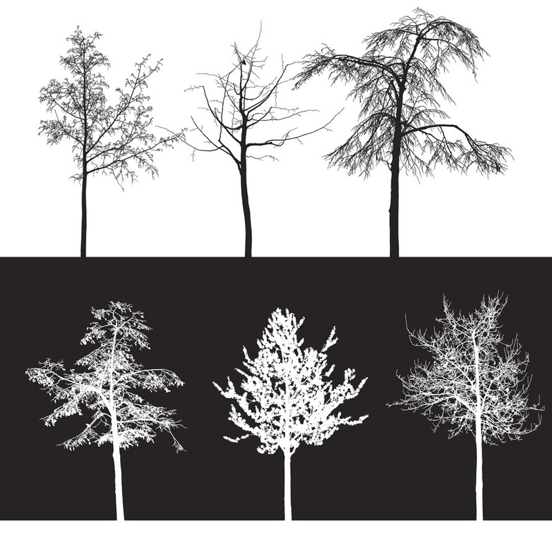 tree brush photoshop free download