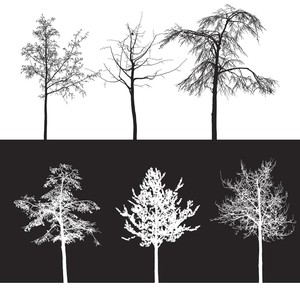 10 Trees Brushes - Photoshop brushes