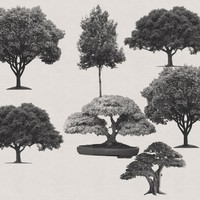 7 Free Trees PS Brushes