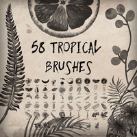 58 Tropical Brushes