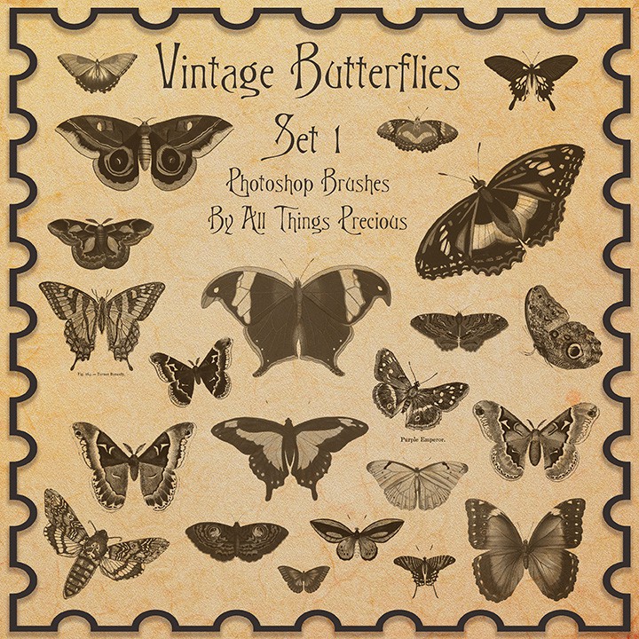 Photoshop brushes vintage butterflies