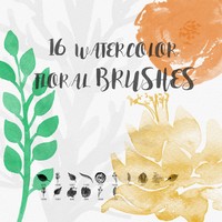 Watercolor Floral Brushes