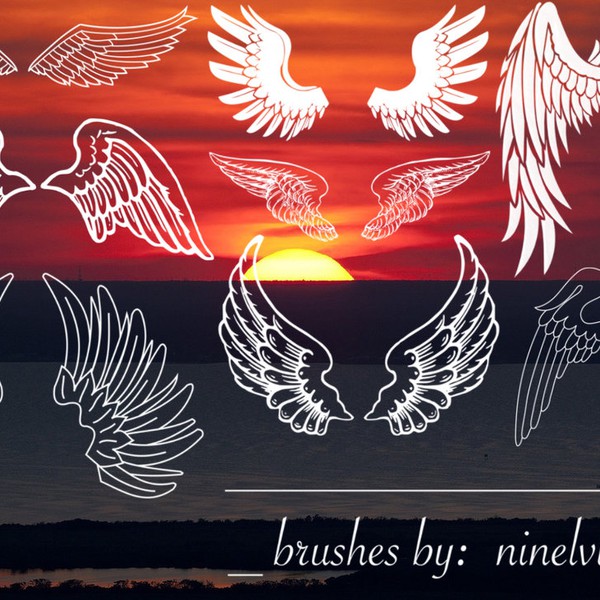 Eight Wings Brushes brushes