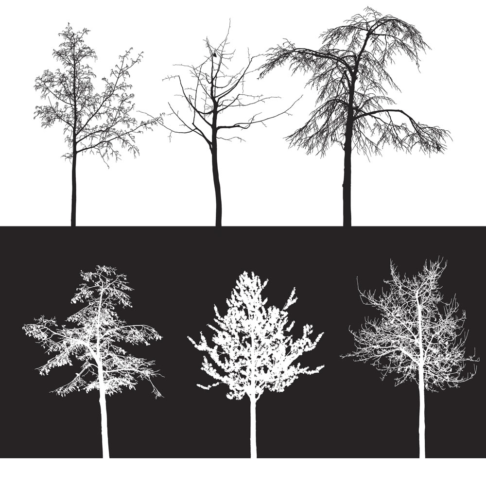 Tree Brushes Photoshop Free : Adobe Tree | Free Download Brushes For