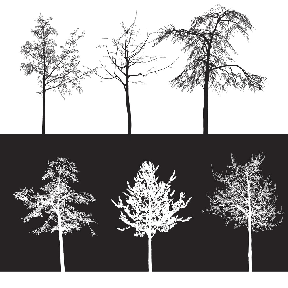 10 Trees Brushes - Photoshop brushes