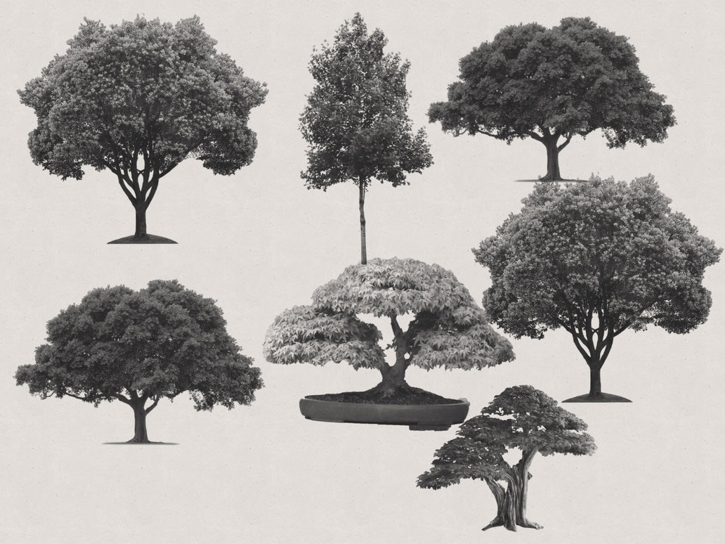 tree photoshop brushes free download