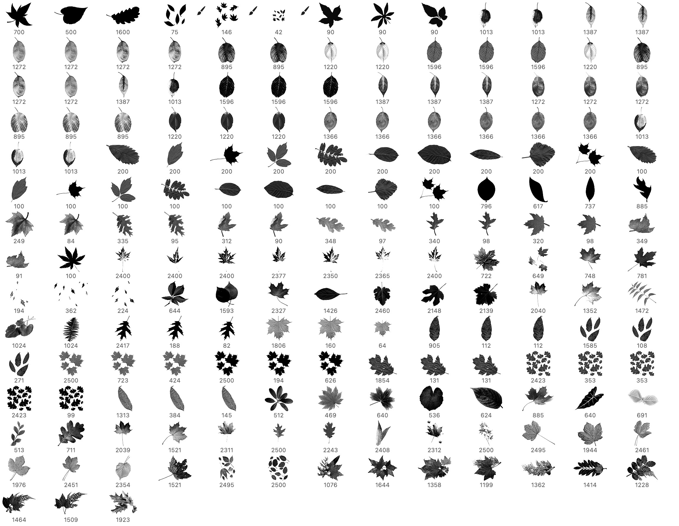 tree leaf brush photoshop free download