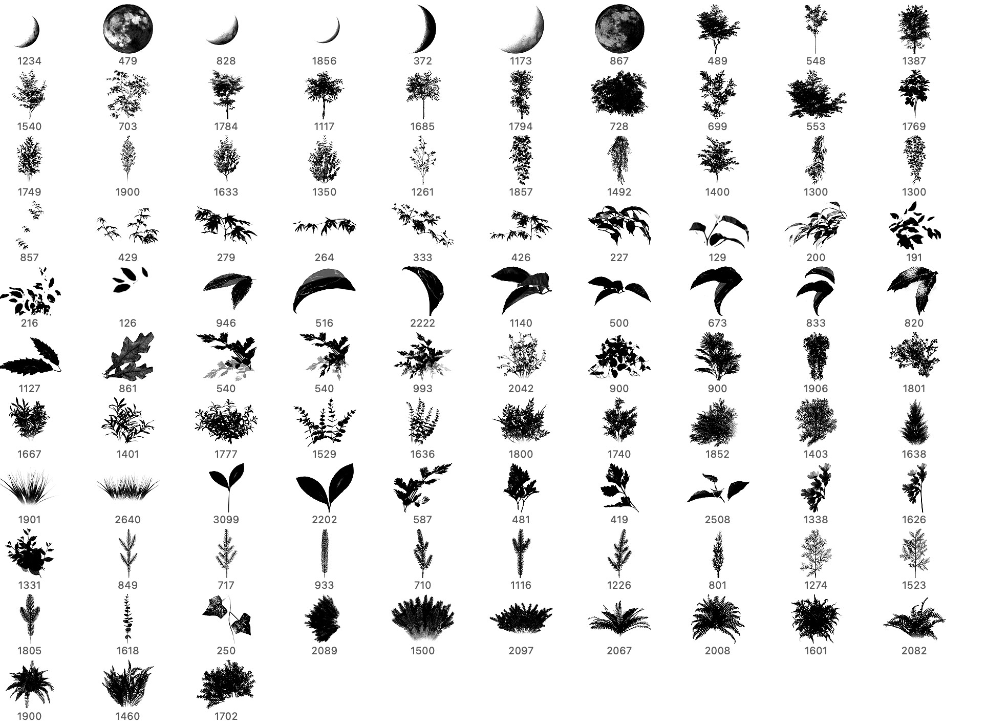 Photoshop brushes