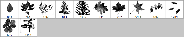 photoshop leaf brushes