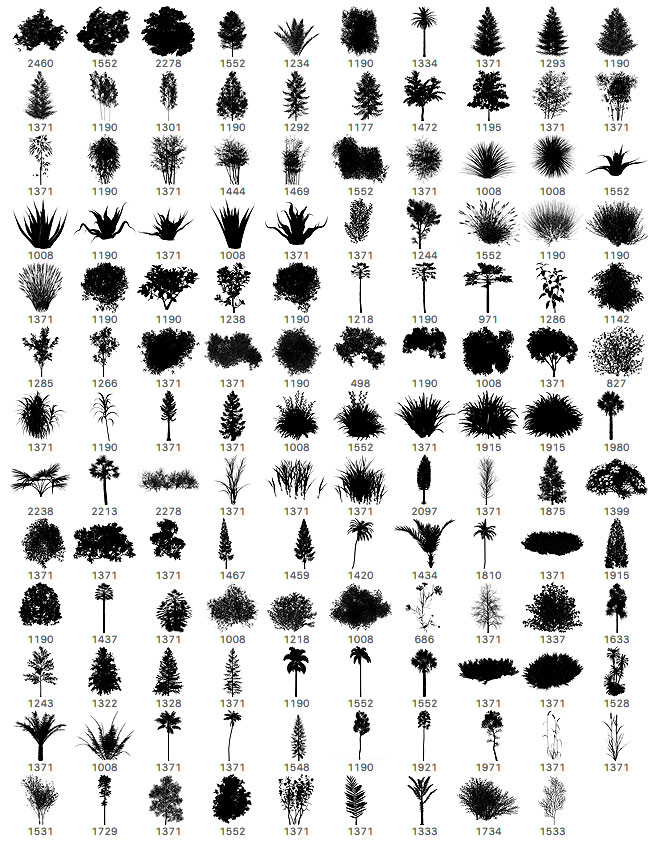 bush photoshop brushes free download