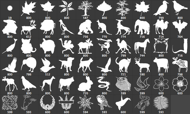 photoshop size adobe stamp photo Photoshop Animals  brushes PS  Brushes Plants And