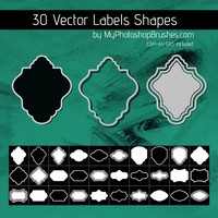 30 Label Shapes
