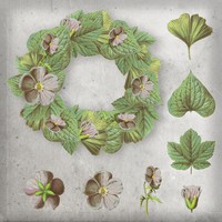Free Flowers and Leaves PSD